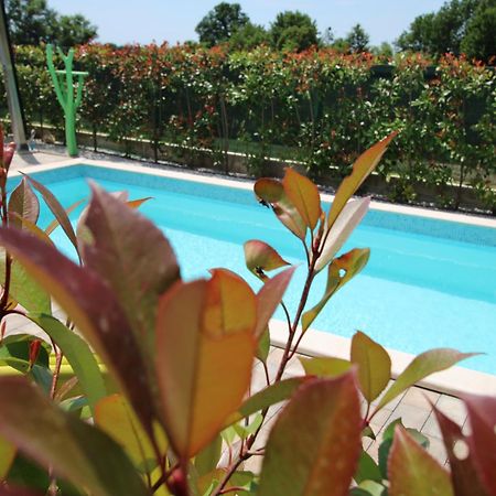 Apartments Green Garden Labinci Εξωτερικό φωτογραφία